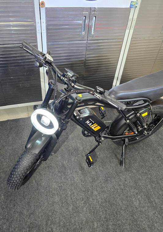 Fat Tire Electric Bike